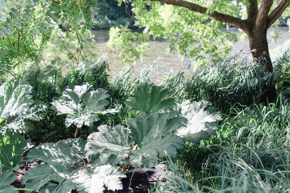 Fotograf Junggesellinnenabschied (JGA) Planten un Blomen